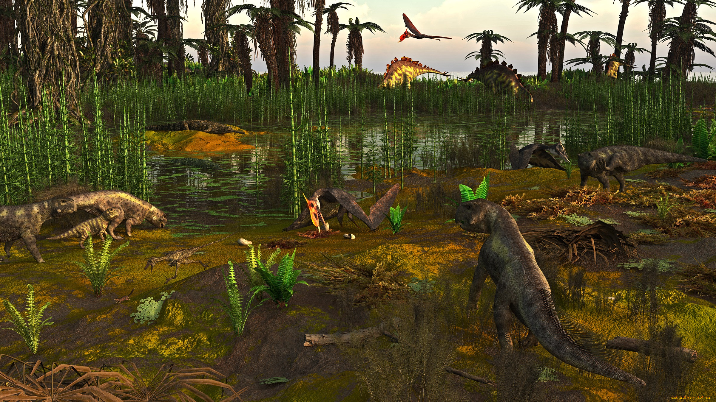 3 ,  , animals, , 